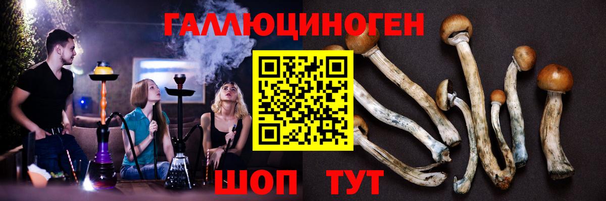 наркота  Вход с VPN  Псилоцибиновые грибы MAGIC MUSHROOMS  Тольятти  Псилоцибиновые грибы Magic Shrooms 